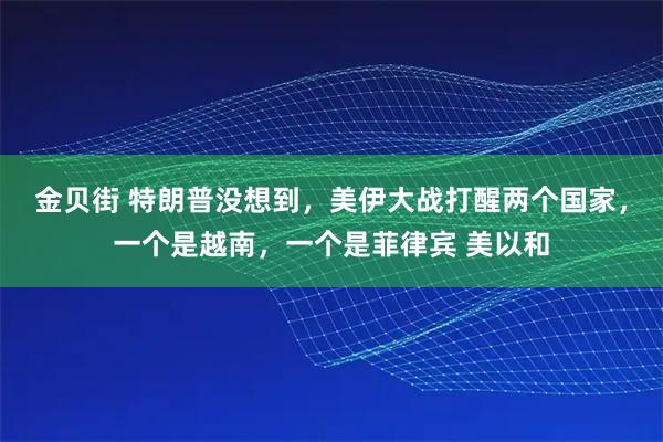 金贝街 特朗普没想到，美伊大战打醒两个国家，一个是越南，一个是菲律宾 美以和
