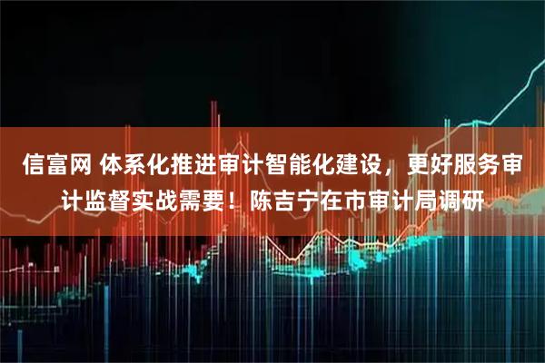 信富网 体系化推进审计智能化建设，更好服务审计监督实战需要！陈吉宁在市审计局调研