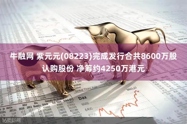 牛融网 紫元元(08223)完成发行合共8600万股认购股份 净筹约4250万港元
