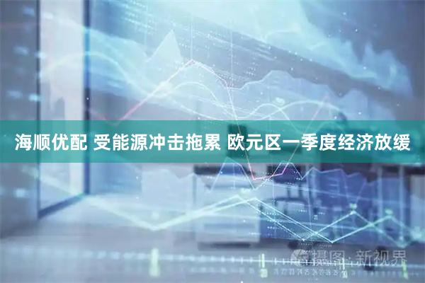 海顺优配 受能源冲击拖累 欧元区一季度经济放缓
