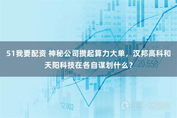 51我要配资 神秘公司攒起算力大单，汉邦高科和天阳科技在各自谋划什么？